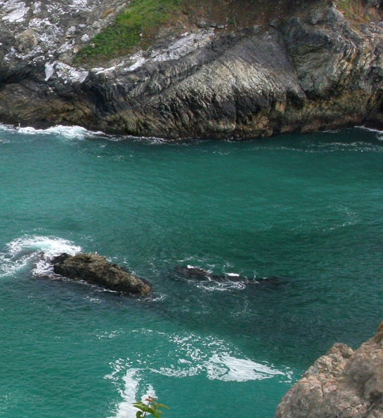 粉象生活有什么好项目