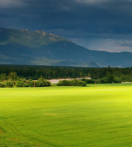 粉象生活怎么赚钱