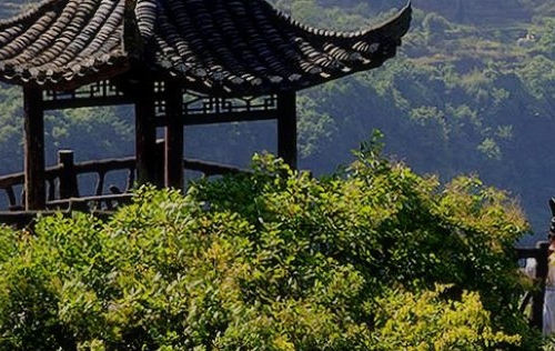 粉象生活是干什么的能赚钱吗