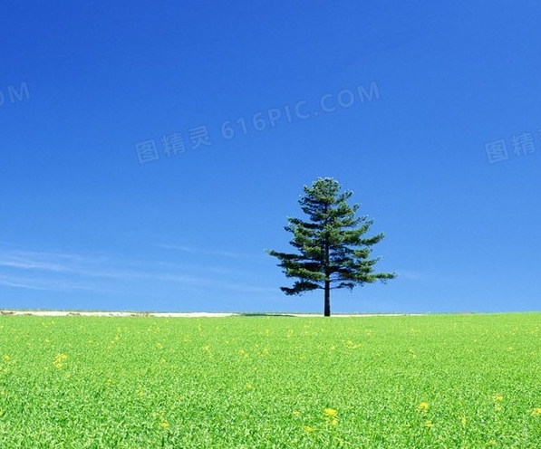 粉象生活赚钱教程