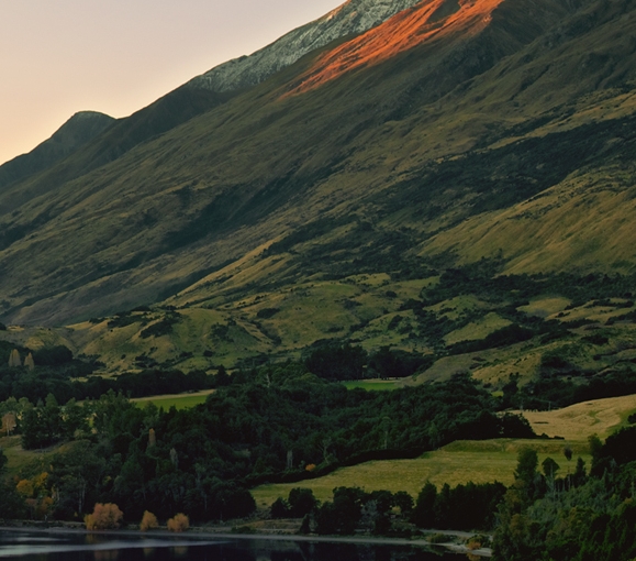 粉象生活的佣金从哪来