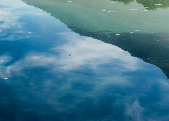 粉象生活分享后怎么没有佣金