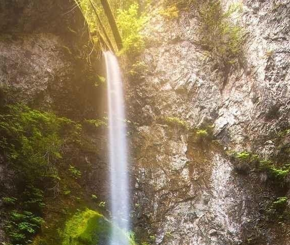 粉象生活邀请码