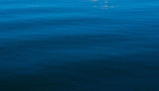 粉象生活的广告是什么