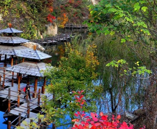 粉象提现未结算