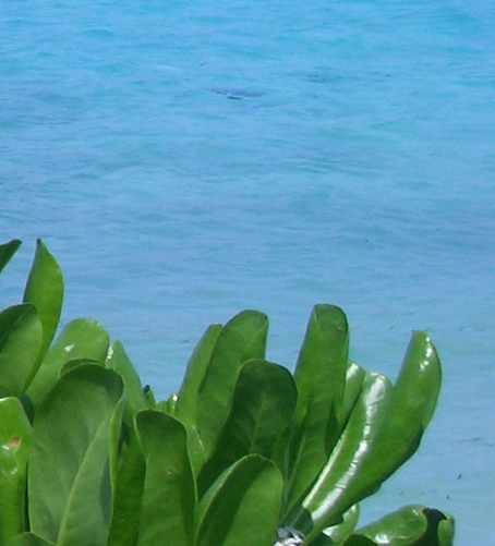 浙江创新激光设备有限公司