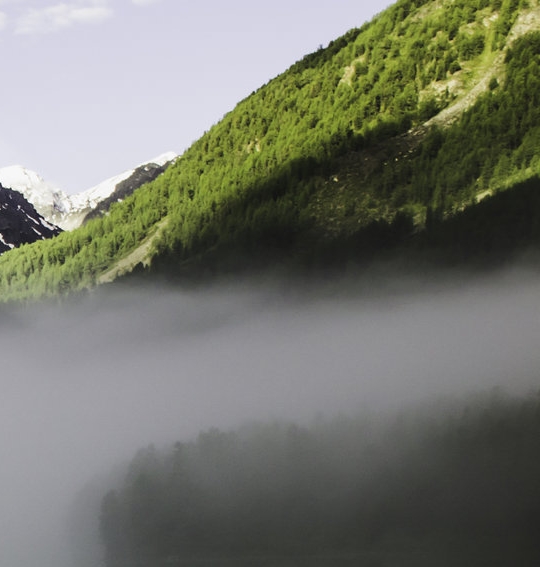 咸鱼拼多多和粉象生活