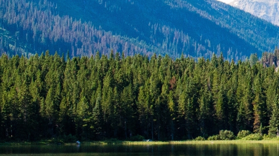 粉象生活可以赚钱吗