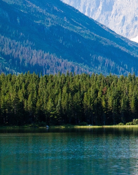 粉象生活购买邀请码