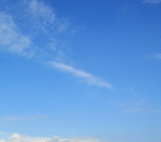 粉象生活新手怎么做