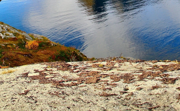 粉象生活省钱页面