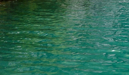 粉象生活赚钱教程