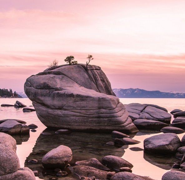 粉象生活下载app