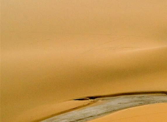 象拨蚌做法配方大全