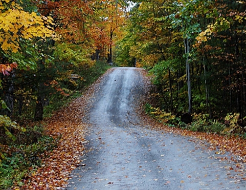 粉象生活怎么快速推广