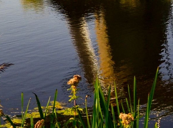 粉象生活邀请码