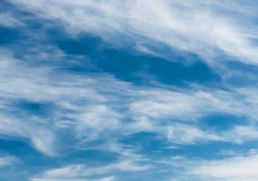 怎样获取粉象生活