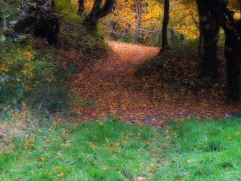 粉象生活可以赚钱吗