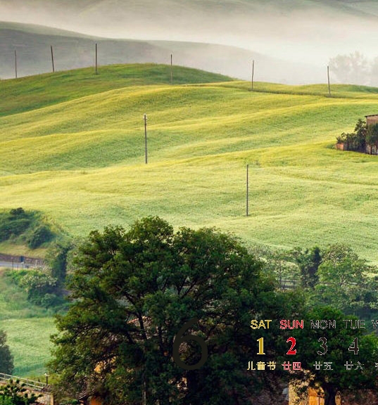 粉象生活真实收入