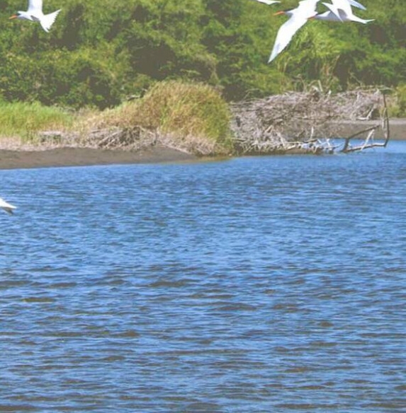 粉象生活邀请码