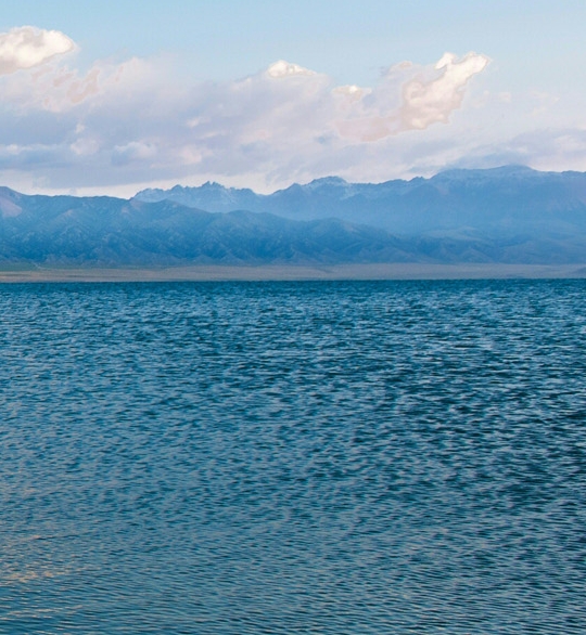 粉象生活可以赚钱吗