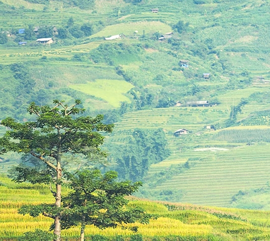 付呗生活怎么收款