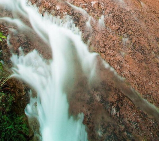 哈尔滨苕粉加盟