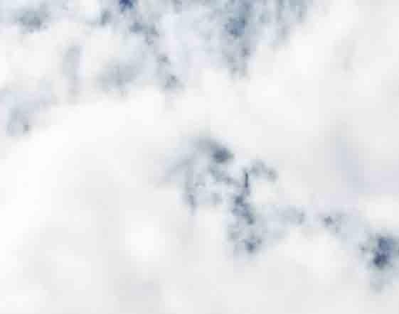 粉象生活还能走多久