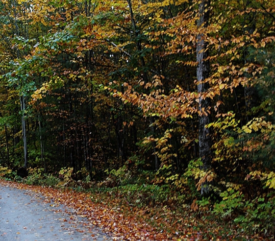 粉象生活商家合作推广费用