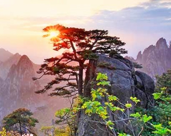粉象生活怎么退出邀请码