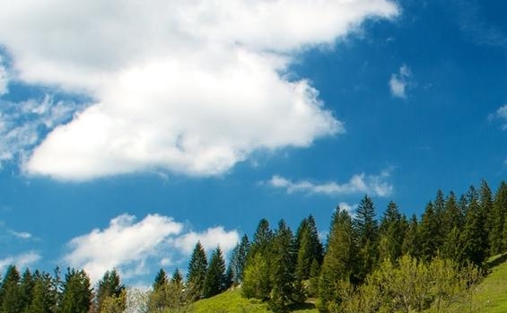 粉象生活邀请新人多少钱