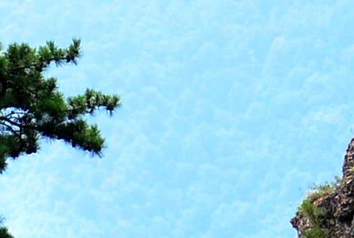 粉象生活哪个团队最好最强