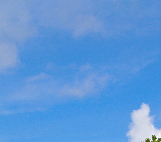 粉象生活怎么快速推广