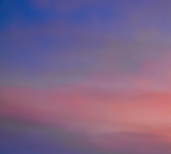 粉象生活设置券