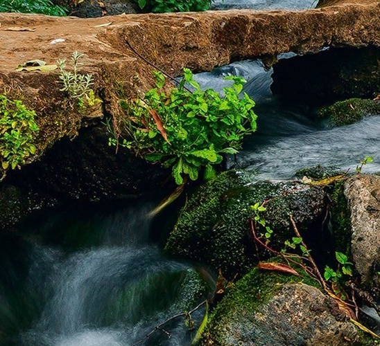 粉象生活邀请码填谁的最好