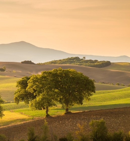 粉象生活上的活动怎么找
