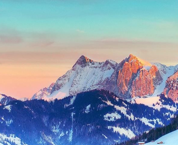 粉象生活副业好吗