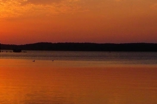 粉象生活怎么用最省钱