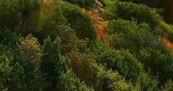 粉象生活怎么上传产品