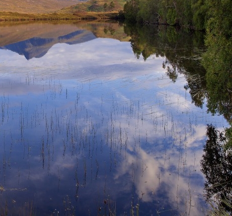 粉象生活下载app