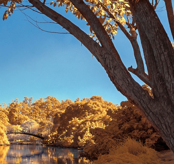 淘宝粉象生活佣金比例