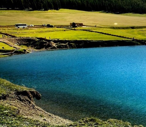 粉象生活推广代理商怎么找