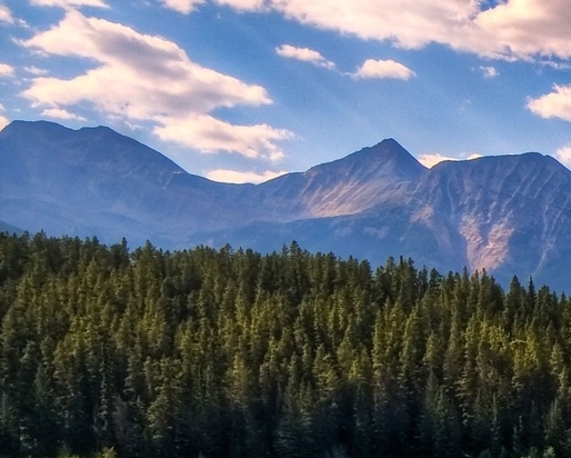 潮州粉象生活如何使用