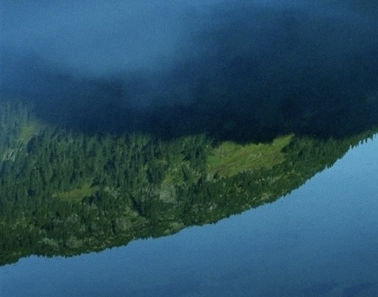 粉象生活提现到账图片