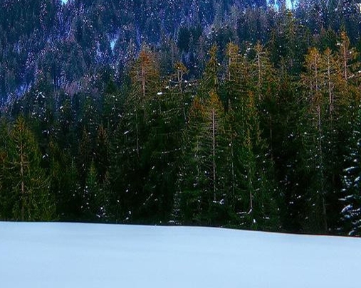 在榆林网榆林城市生活主流新媒体