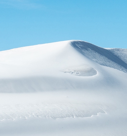 粉象生活下载后怎么收藏