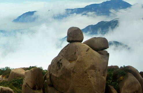 粉象生活邀请码