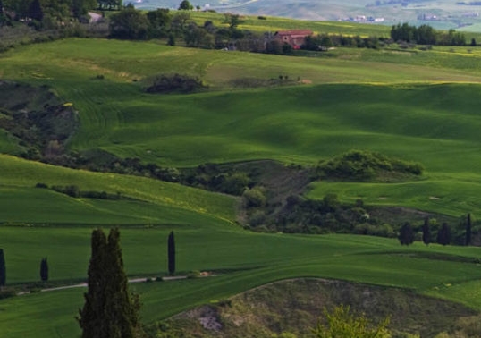 粉象生活和支付宝哪个靠谱