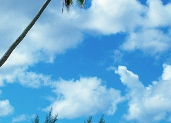 粉象生活怎么赚钱的