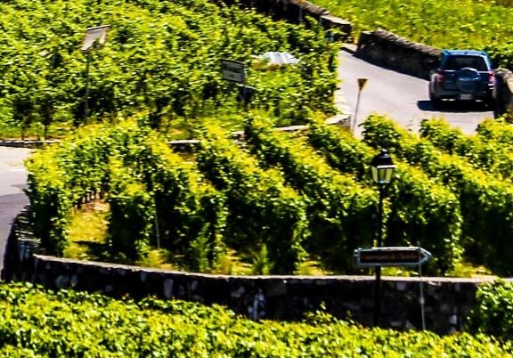 粉象生活最好用的平台